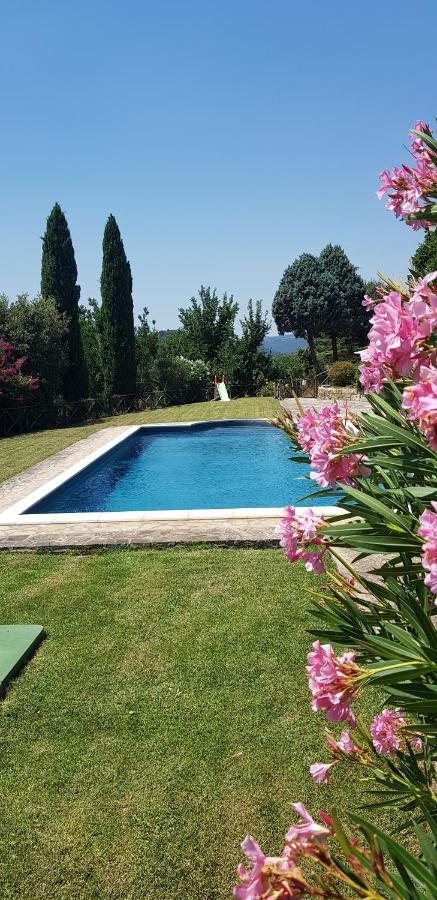 Case In Campagna Con Piscina A Todi Eksteriør billede
